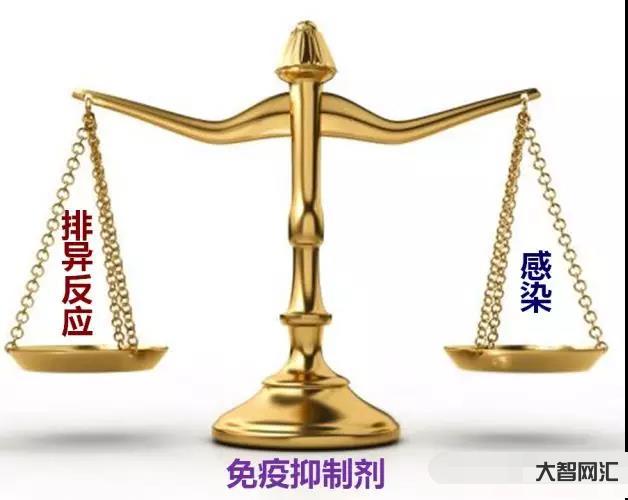 免疫抑制剂有哪些-使用10种免疫抑制剂,肾友必须记住2点,既能降蛋白又-大智网汇