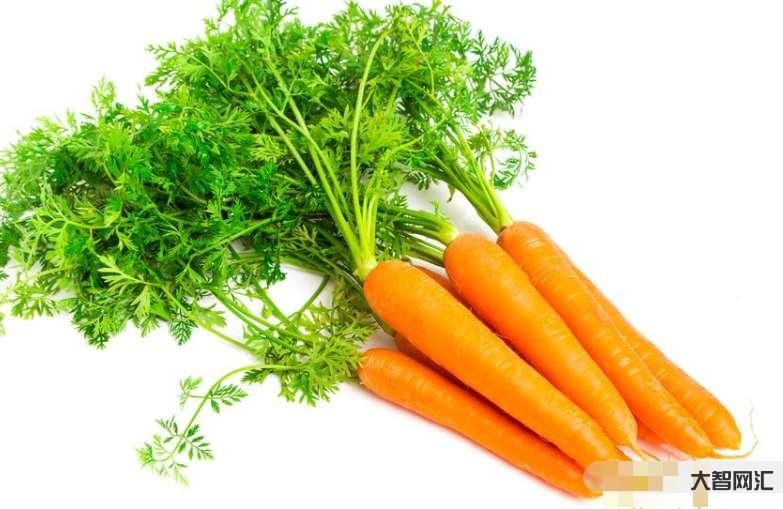 carrot怎么读-小学英语教学大纲《食物类》56个单词(含音标)-大智网汇