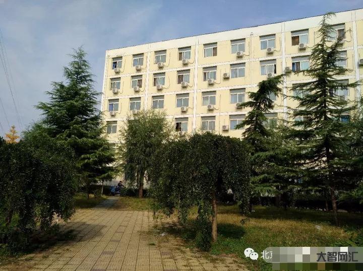 北京军地专修学院-1945年,朱德失踪五年的女儿被找到,关键线索是“赤-大智网汇