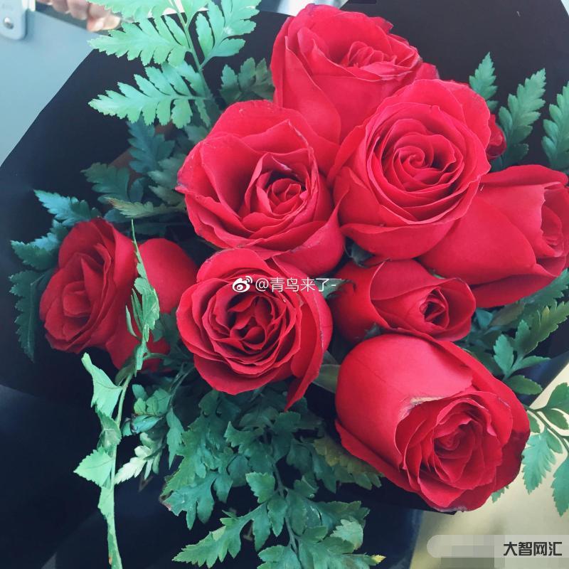 玫瑰和谁最配-菊花、玫瑰花、茉莉花可混合冲泡，专治肝气不疏，也可疏肝解