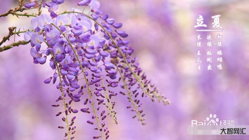 五月份有什么节日-你知道五月份有多少个节日吗?5.12护士节、五四青年-大智网汇