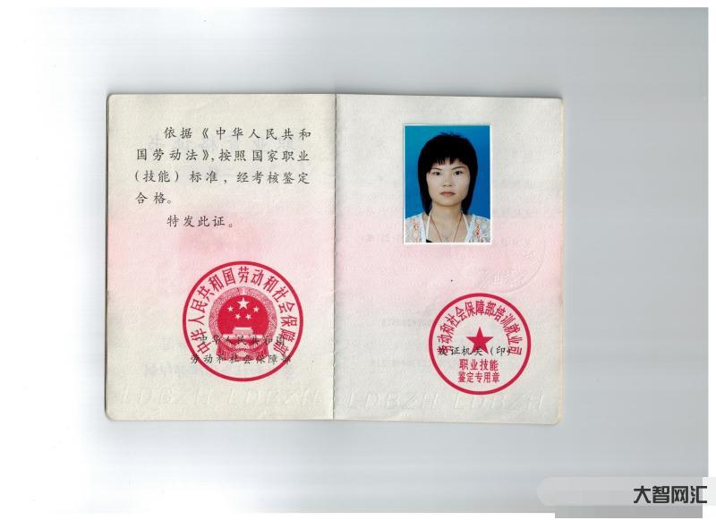 国家二级心理咨询师-国家二级心理咨询师报考条件 怎么考取-大智网汇