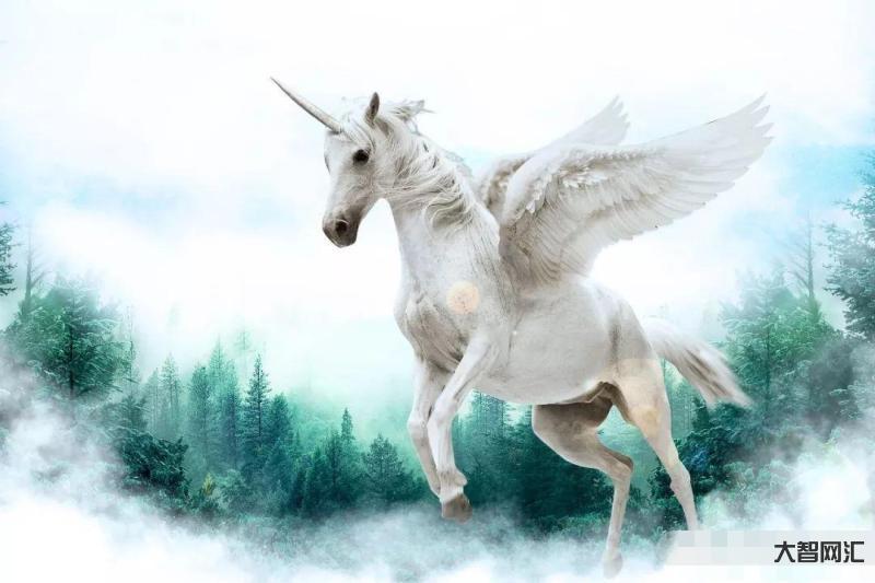 高中教师美出40亿美元超级独角兽,-活水为您揭秘独角兽! 高中教师美出40亿美元超级独角兽,-活水为您揭秘独角兽!