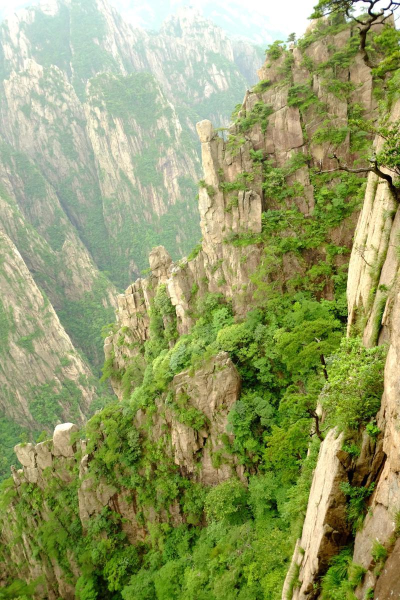 xiuren秀人网写真-秀人网丨杨晨晨Yome 私房写真-大智网汇