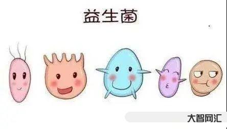 5个多月益生菌应该喝多少-关于益生菌,家长想知道的都在这里!你家宝宝吃 5个多月益生菌应该喝多少-关于益生菌,家长想知道的都在这里!你家宝宝吃