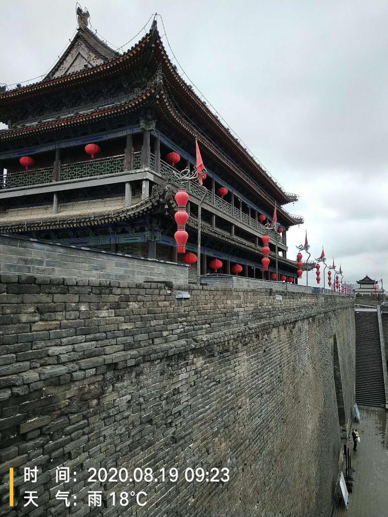 游客打卡西安城墙被排队人流劝退-大理海鸥被喂到吐,西安城墙挤爆,春节报-大智网汇