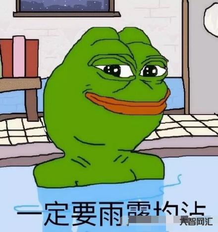 frog是什么意思-今年我的收获和遗憾-大智网汇