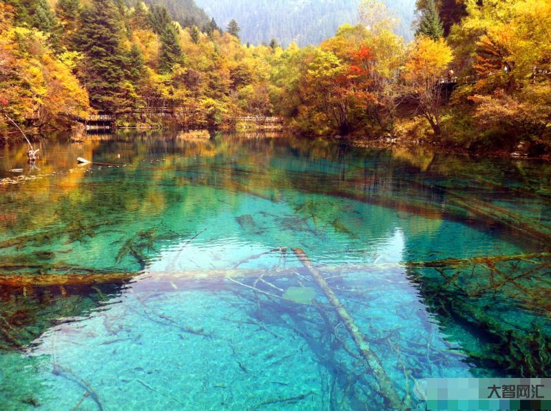 九寨沟旅游最佳时间-美丽神奇的四川九寨沟 最佳旅游时间已到来 你准备好-大智网汇