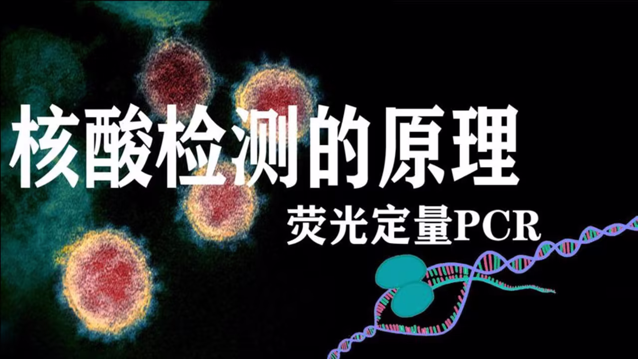 pcr是什么意思-PCR(生物学的聚合酶链反应) pcr是什么意思-PCR(生物学的聚合酶链反应)