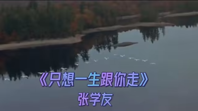 只想一生跟你走歌词-只想一生跟你走,钢琴谱,张学友,曲谱分享-大智网汇
