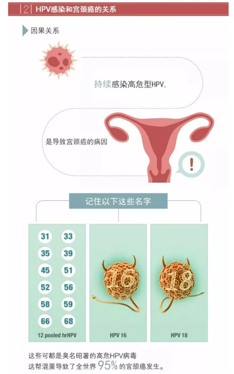 hpv是怎么感染上的-HPV病毒是如何传播的,女性该如何预防,妇产科医-大智网汇