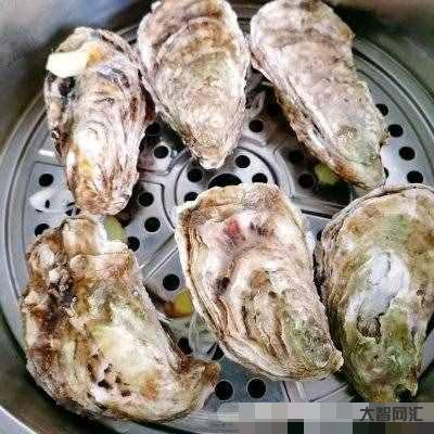 生蚝的做法蒸几分钟-蒸生蚝多长时间能熟?蒸几分钟最好?冷水下锅还是热水-大智网汇