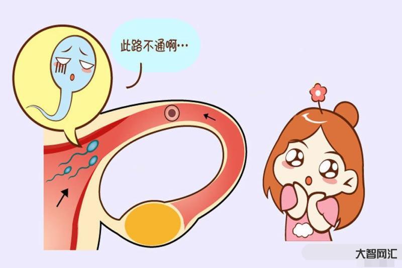 输卵管堵塞有什么样症状-一旦出现这4种症状,你的输卵管很可能堵塞了,2-大智网汇