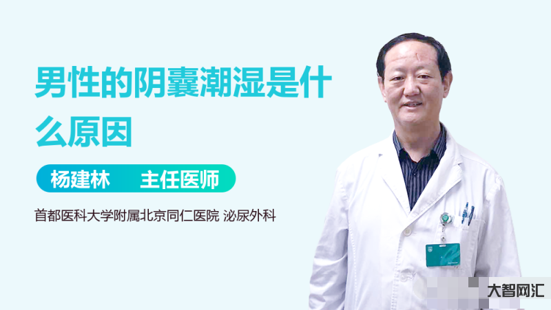 阴囊潮湿是什么原因造成的-阴囊总是湿湿是怎么回事?别着急,医生教你3招-大智网汇