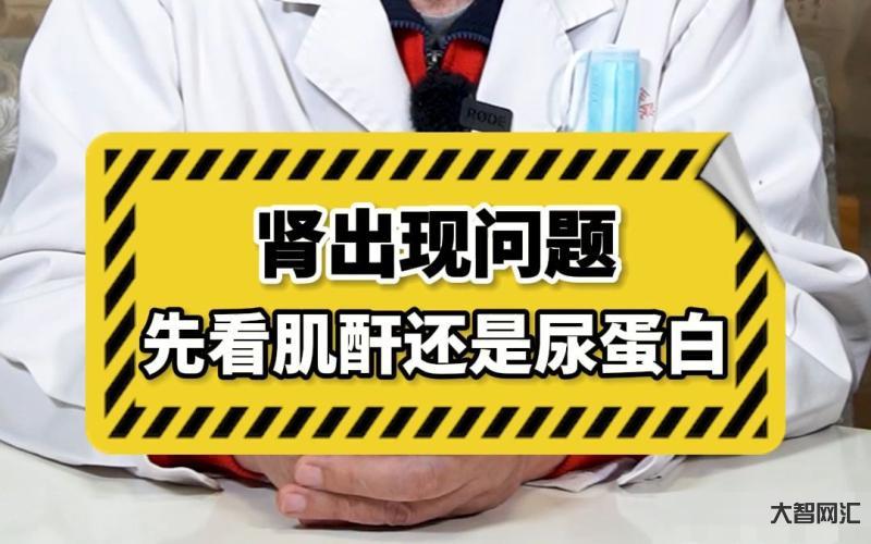 肌酐高是什么问题-医院体检发现肌酐高,千万别忽视这5大常见因素-大智网汇