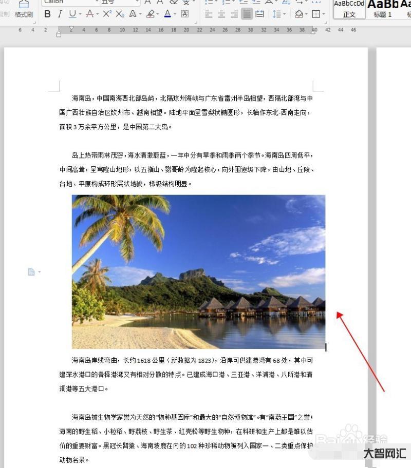 word如何插入图片-speedoffice(Word)文档中如何插入-大智网汇