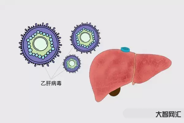 乙肝是什么病-大数据告诉你,乙肝是怎样的一种病?-大智网汇