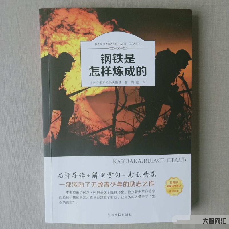 钢铁是怎样炼成的-《钢铁是怎样练成的》:凡是让你痛苦的,都是来渡你的-大智网汇