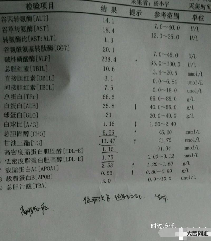 总胆固醇高说明什么-总胆固醇偏高有哪些症状,胆固醇高有哪些危害?-大智网汇
