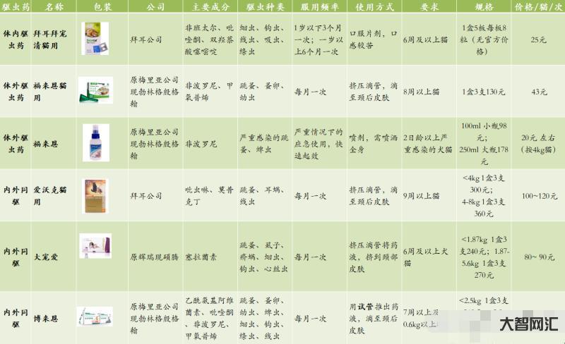 宠物店驱虫多少钱-去花鸟市场,40元买下这只小橘猫,驱虫时宠物店老板直-大智网汇