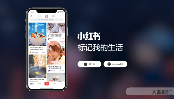 小红书怎么挣钱-普通人在小红书搞钱指南,干货,收藏慢慢看-大智网汇