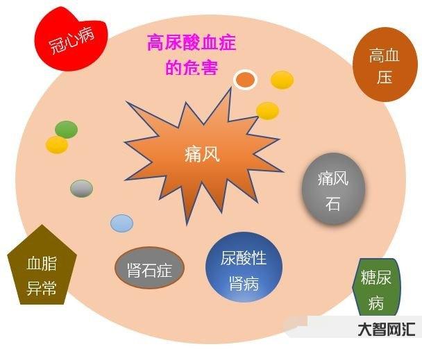 尿酸高怎么办什么方法降最好-药品安全播报:尿酸偏高怎么办?这几招你一定-大智网汇