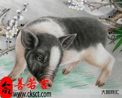 2024年属什么生肖-2024年属兔正缘是什么生肖 良缘花落谁家-大智网汇