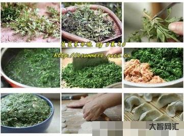 芨芨菜如何做好吃包饺子,芨芨菜如何做好吃的方法-大智网汇