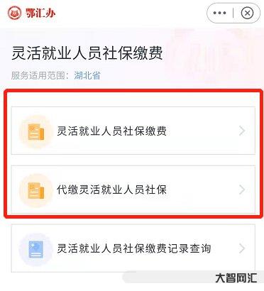 灵活就业人员社保缴费怎么交-@灵活就业人员,2022年度社保缴费温馨提-大智网汇