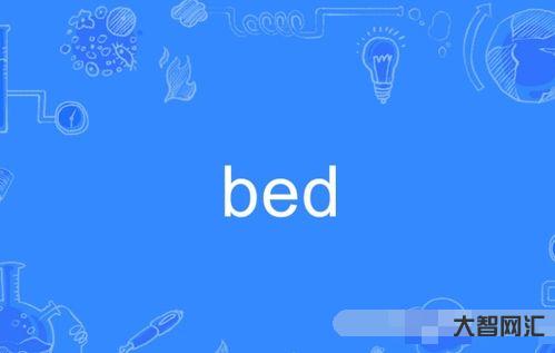 bed如何读(bed如何读音标)-大智网汇