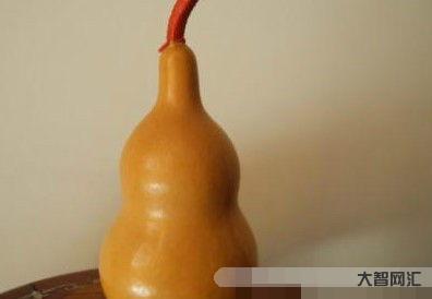 芦可以组什么词(芦可以组什么词语)-大智网汇