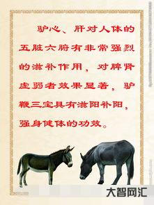 吃驴肉的好处与坏处(吃驴肉的好处和坏处) 吃驴肉的好处与坏处(吃驴肉的好处和坏处)