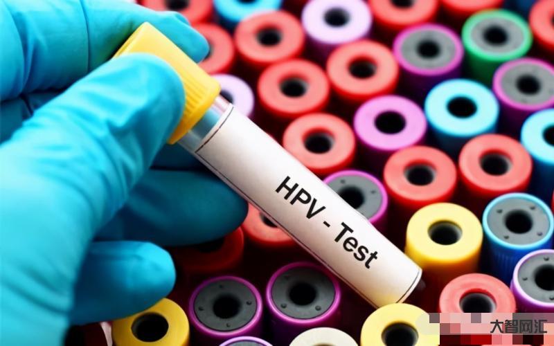 hpv是什么病-HPV是什么病,感染后有哪些症状?-大智网汇