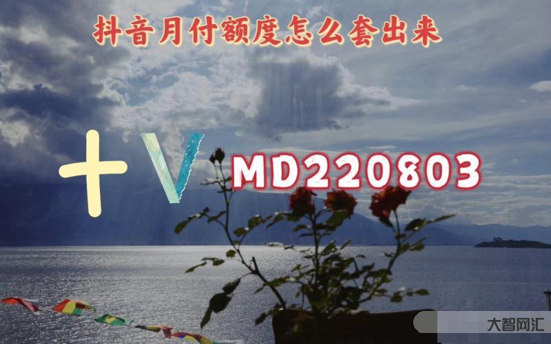 抖音月付什么意思-提高“给钱”效率,抖音扫支付宝收款码可以直接付款了-大智网汇