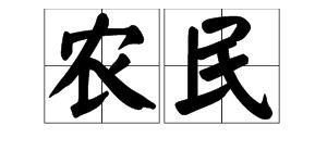 农民的拼音 农民的拼音