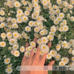 有思念寓意的名字(有思念寓意的名字男婴儿) 有思念寓意的名字(有思念寓意的名字男婴儿)