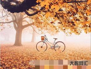 给大家科普下秋去冬来打一动物(秋去冬来打一动物生肖)-大智网汇