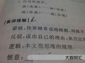 惬意叫什么意思(惬意叫什么意思解释)-大智网汇