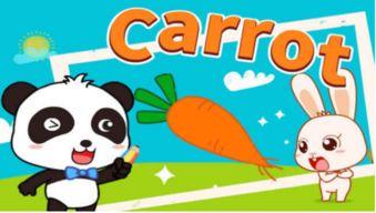 carrot如何读(carrot如何读什么意思) carrot如何读(carrot如何读什么意思)