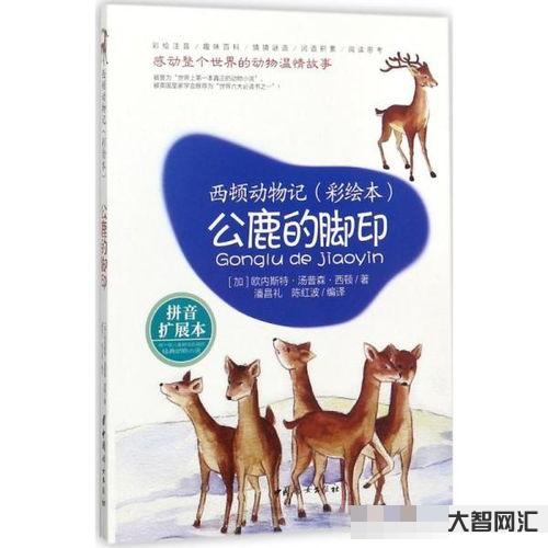 足迹拼音如何读,足迹拼音如何写-大智网汇