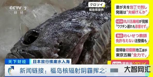 「志愿云」日本核污水排海第三天,中国的第一批受害者出现了-核污水排海-大智网汇