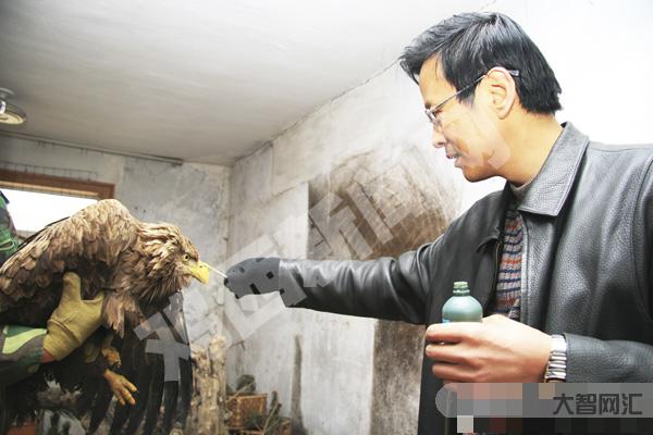 央视新闻火出圈!他们为何叫“海东青”?-央视新闻频道 央视新闻火出圈!他们为何叫“海东青”?-央视新闻频道
