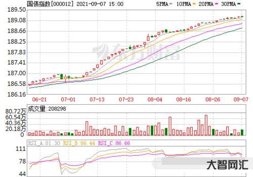 国债指数(国债指数叫什么意思)-大智网汇