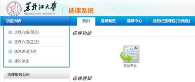 黑龙江大学选课系统官网,黑龙江大学选课系统是干什么用的?-大智网汇
