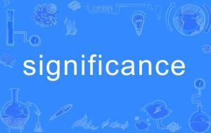 significance(significance的形容词)-大智网汇
