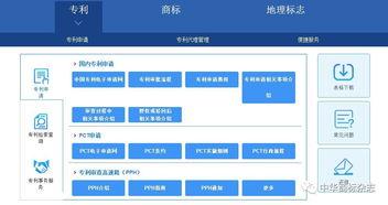 中国专利事务服务系统(中国专利事务服务系统账号被锁定咋办)-大智网汇