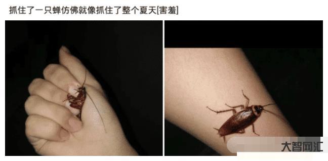 我真服了-男生闻女生的脚是很亲密的行为吗?-为什么女朋友会因为这个事生-大智网汇