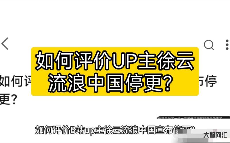 b站up主徐云流浪中国正在塌方中-徐云流浪中国危机-大智网汇