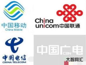 电信网大(电信网上大学) 电信网大(电信网上大学)