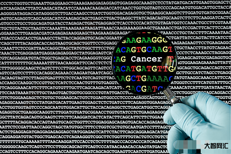 美研究所完成对人类 Y 染色体 DNA 全部基因测序-有哪些意义?--大智网汇